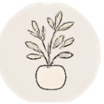 Line drawing of a small plant with multiple leaves in a rounded pot.