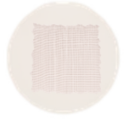 Small pale pink woven fabric swatch on a white background, with frayed edges.